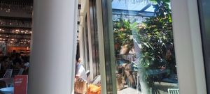  at Hiltl - Dachterrasse in Zurich