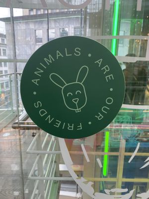   at Hiltl - Dachterrasse in Zurich