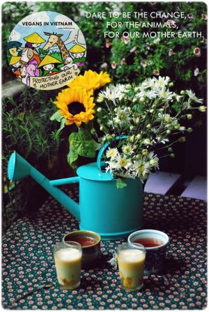 their tea garden  at Xuong Vegan - Atelier Vegan in Hanoi