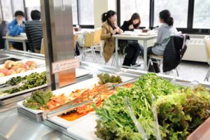 SNU buffet at Seoul National University Vegan Buffet 서울대학교 채식뷔페 in Seoul