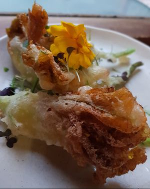 Stuffed Zucchini Flowers at Secret Creek Cafe in Lithgow