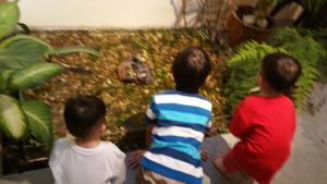 Quiet fountain for the child to see fishes at Seeds Garden Bistro in Malacca