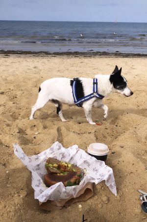 Bagel 🥯 with everything at Huff Bagelry in Mentone