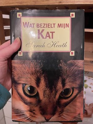 Important reading material in the toilets   at Bloem in Amsterdam