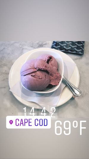 Vegan (coconut milk) blackberry ice cream. Declicious! at Pizza Barbone in Hyannis