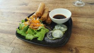 very tasty spring rolls at Annen Vegetarian & Yoga in Hoi An