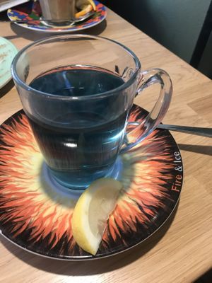 Blue butterfly pea tea at Bagels & Beans in Enschede