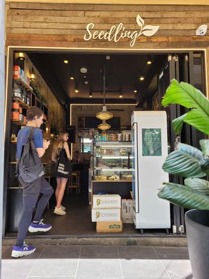 Seedling shop front at Seedling Cafe - Flinders in Melbourne