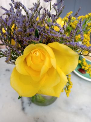 Inside the cafe (June 2025) at By Lima in Haarlem