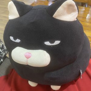 Grumpy cat plush on the sofa  at The Black Cat Cafe in Kuala Lumpur