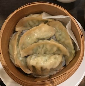 Vegan Dumplings at Tokyo Dumpling in Cairns