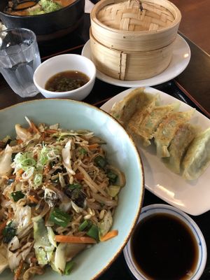 Vegan stir fry ramen and vegan dumplings at Tokyo Dumpling in Cairns