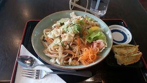 Vegan teriyaki udon and 3 vegan dumplings at Tokyo Dumpling in Cairns