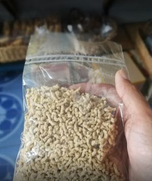  at Guan Im in Chiang Mai