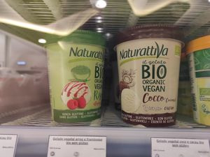 Vegan ice cream at Celeiro in Rio Tinto