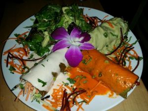 trio of enchiladas. pretty and tasty at 118 Degrees in Tarzana