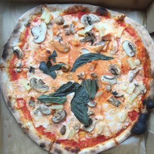 Bahamas pizza with vegan cheese—pineapple, mushrooms, basil and Atlas vegan cheese. Amazing!  at Mister O1 in Miami Beach