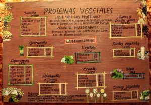 Vegan protein sources at Casita Ecovegana de Zihuatanejo Cooperativa in Zihuatanejo