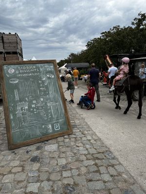   at Bioboer Busschots in Koningshooikt