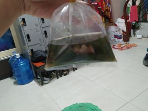 Mushroom and green vegetables soup at Dinh Y in Ho Chi Minh City