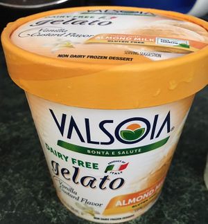 Vegan ice cream at Wegmans in Alexandria