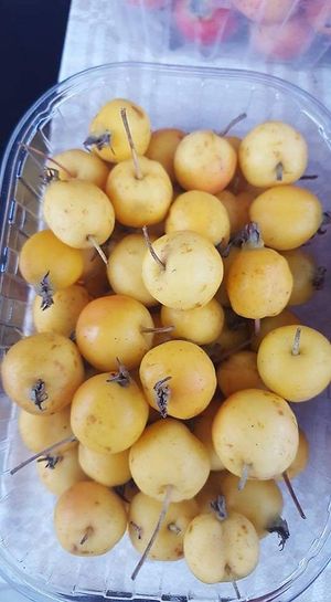  at Tymo Turgus in Vilnius