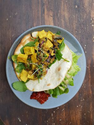 Vegan Burrito at Ritual Coffee Company in Blenheim