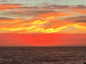 Sunrise at Kemu in Terrigal