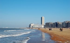 Oostende at Veggieshop in Oostende