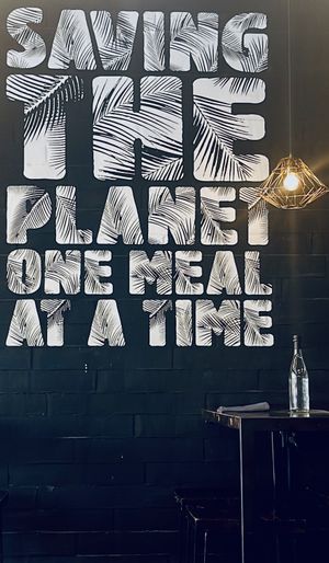 🌎🩵   at The Pitted Date in Playa Del Carmen