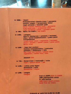 Menu at Kaffi Vinyl in Reykjavik