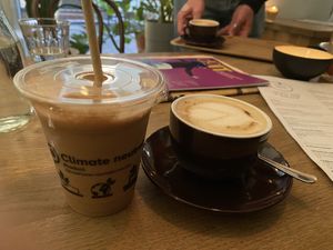   at Ginko - Greenhouse in Graz