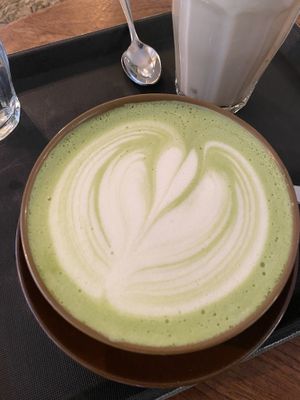 Matcha   at Ginko - Greenhouse in Graz