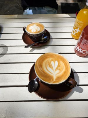  at Ginko - Greenhouse in Graz