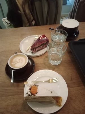  at Ginko - Greenhouse in Graz