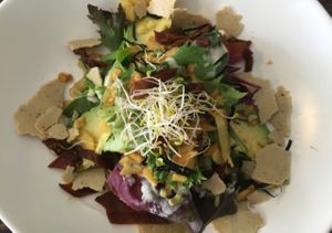 Caesar salad at The Plant Gallery in Bondi