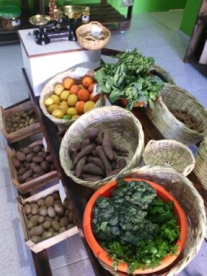 Vegetus at Vegetus Mercearia Vegetariana in Quarteira