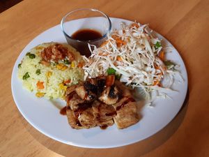 Tofuskin with fried rice and salad (#13 on lunch menu) at Loving Hut in Hamburg