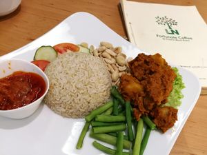 Vegan Nasi Lemak at LN Fortunate Coffee - Solaris Mont Kiara in Kuala Lumpur