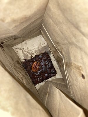 Brownie 🤤 at Screaming Carrots in Hallandale Beach