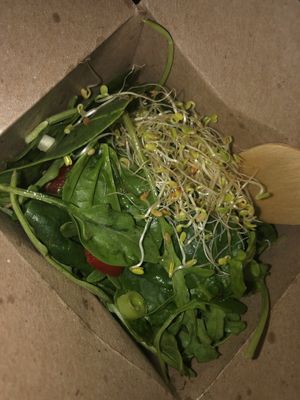 Salad that comes with the sandwich   at Screaming Carrots in Hallandale Beach