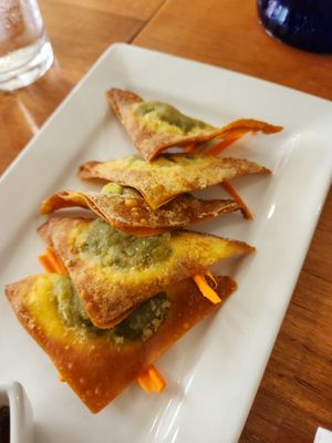 vegetable dumplings at Screaming Carrots in Hallandale Beach