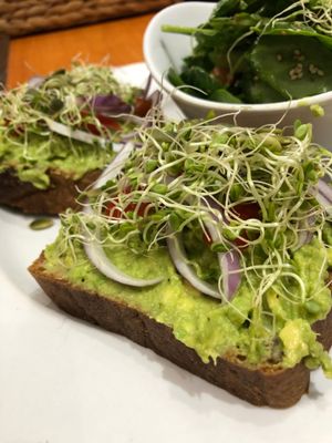avocado open sandwich at Screaming Carrots in Hallandale Beach