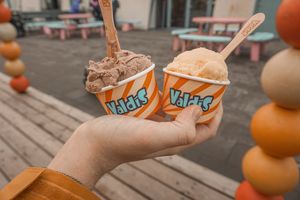 Mango ice cream (vegan) at Valdis in Reykjavik