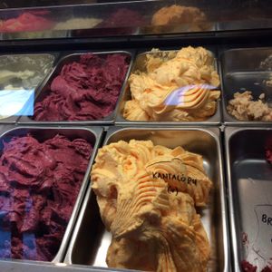 vegan icecream part at Valdis in Reykjavik