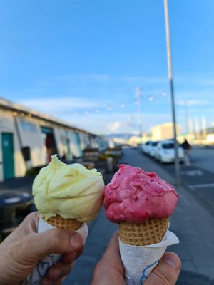  at Valdis in Reykjavik