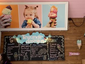   at Valdis in Reykjavik