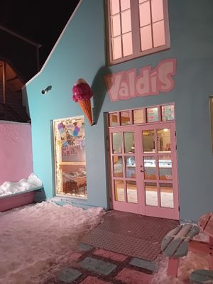  at Valdis in Reykjavik