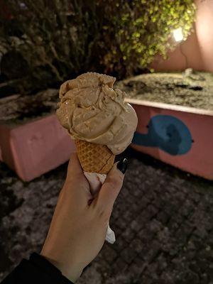 1 scoop vegan Kaffi flavour at Valdis in Reykjavik