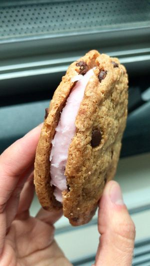 Chocolate chip cookie sandwich with (pink) vanilla frosting. at Erin McKenna's Bakery in New York City